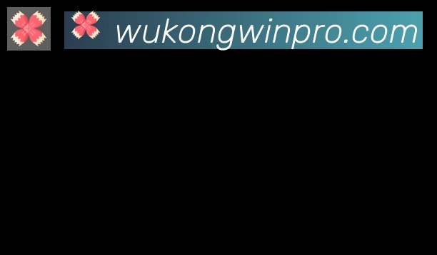 悟空体育合作伙伴